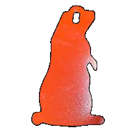 Champion Targets Impact Steel Champ 44916c Impct Prairi Dog Trgt Rf Or