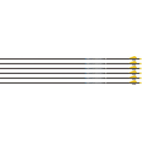 Easton Arrow Sonic 6.0 300 W/2" Bully Vanes 6pack