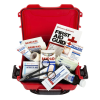 Nanuk (plasticase Inc) First Aid Case 904s000rdpa0fsa01 904 Red