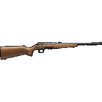 Winchester Xpert Br Sporter 22lr 16.5" Blued/wood