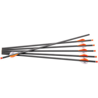 Centerpoint Xbow Arrow 20" - Cp400 Carbon 6pk