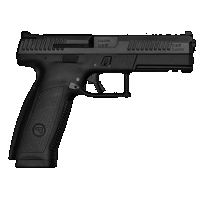 CZ P-10, 01540 9mm Blk 10rd