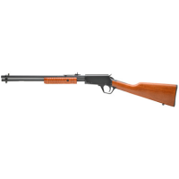 Rossi Gallery .22 Lr 18" 15rd Black/Wood
