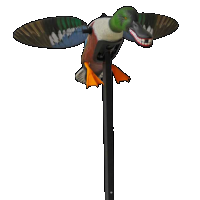 Mojo Elite Series, Mojo Hw2490 Es Spoonzilla