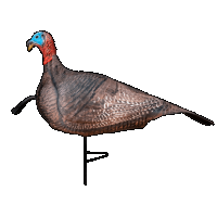 Primos Photo Form, Primos 69069 Photoform Jake Decoy