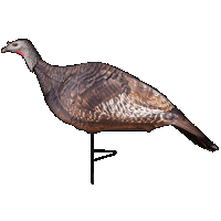 Primos Photo Form, Primos 69068 Photoform Hen Decoy