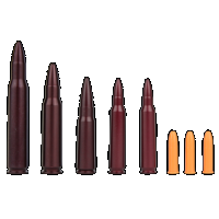 A-zoom Rifle Snap Caps, Azoom 16195 Variety Pack Top Rifle