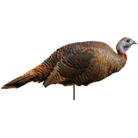 Montana Decoy Turkey Spring - Fling Hen