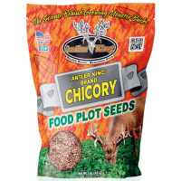 Antler King Chicory 1# Bag - Perennial 1/4 Acre