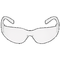 Pyramex Intruder Clear Frame Clear Hardcoated Lens 12pk