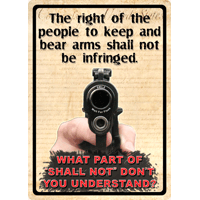 Rivers Edge Sign "the Right To - Keep And Bear Arms.." 12"x17"