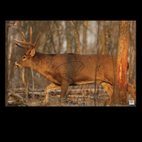 Birchwood Casey Eze-scorer, Bir 37481 Eze-scorer 23x35 Whitetail Deer 2pk