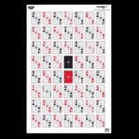 Birchwood Casey Eze-scorer, Bir 37026 Eze-scorer 23x35 52-card Shoot-up 5pk