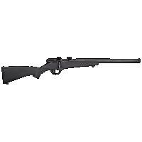 Savage Rascal, Sav 13834 Rascal 22lr Fvsr Black
