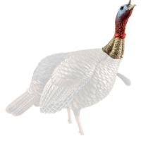 Avian X Hdr Jake Decoy -