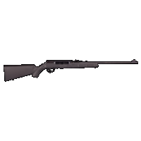 Savage A22, Sav 47200 A22 22lr Semi Trgt Sprtr Syn