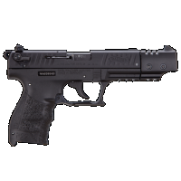 Walther Arms 5120334 P22 Pistol .22 LR 5" 10+1