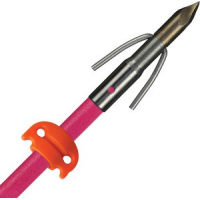 Ams Bowfishing Fiberglass - Arrow Chaos Point Pink W/ss