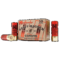 Hornady 90255862225 12 GA, 3in. 1-1/2oz. BB Shot - 10 Rounds [MPN: 86222]