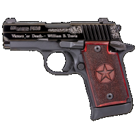 Sig Sauer 9389TXSAMBI P938 Texas Engraved Silver 9mm Luger 3" 7+1 Black Aluminum Frame Black Nitron Stainless Steel with Silver Accents Slide Redwood Grip Night Sights