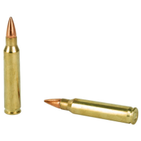Remington .223 REM, 50gr, HP - 20 Rounds [MPN: R23812]