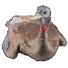 Avian X (gsm) Lcd, Avian Avx-avx8011 Lcd Laydown Hen Decoy