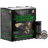 Kent Cartridge Fasteel 2.0 12 GA, 2-3/4in. 1-1/16oz. BB Shot - 25 Rounds [MPN: K122FS30BB]