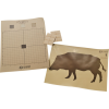 Atn Thermal Boar Target (1) W/ - 12 Thermal Pasters