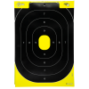 Allen EZ Aim Splash Reactive Paper Shooting Targets