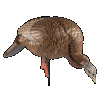 Avian-X HDR Feeding Hen Decoy