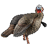 Avian-X HDR Jake Decoy