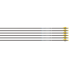 Easton Arrow Sonic 6.0 340 - W/2" Bully Vanes 6-pack