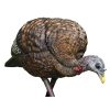 Avian-X LCD Feeder Hen Decoy