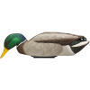 Avian X Power Shaker Mallard - Drake Surface Feeder Decoy