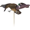 Avian X Powerflight Spinning - Wing Hen Teal Decoy