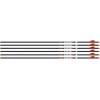 Easton Arrow 6.5mm Hunter Clsc - 300 W/2" Bully Vanes 6-pack