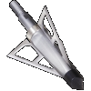 Allen Cx Terminus, Allen 14694 Cx Terminus Cssbow Broadhd 100gr