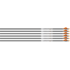 Easton Axis 5mm Spt 500 W/ho 6pack W/ 2" Blazer Vanes
