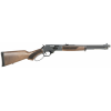 Henry Protector Carbine 360 Buckhammer, 16.50" Barrel, 4 rnd - Walnut/Blued [MPN:H009PGR-360]