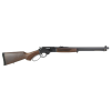 Henry H09 Provider .360 Buckhammer, 20" Barrel, 6 rnd - Walnut/Blued [MPN:H009PG-360]