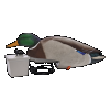Avian X (gsm) Avxtpupm Tip Up Mallard Feeder
