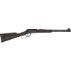 Henry H1 Garden Gun .22 LR, 18.5" Smooth Bore Barrel, 15 rnd - Blued/Walnut [MPN:H001GG-22]