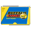 Buffalo Bore Barnes .45-70 GOVT, 300gr, TSXFN - 20 Rounds [MPN: 8F/20]