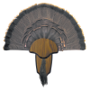 Hunters Specialties Turkey, Hs 00849 Turkey Tail/beard Mount Kit