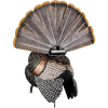 Avian X Hdr Strutter Decoy -
