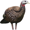 Avian X Lcd Breeder Hen Decoy -