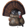 Flextone Thunder Creeper - Strutter Decoy W/ Folding Fan