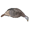 Hunters Specialties Strut Lite Feeder Hen Decoy