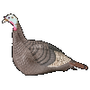 Hunters Specialties Strut Lite Hen Decoy