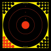 Birchwood Casey SNC 17.25 inch Round Target 12 Pack